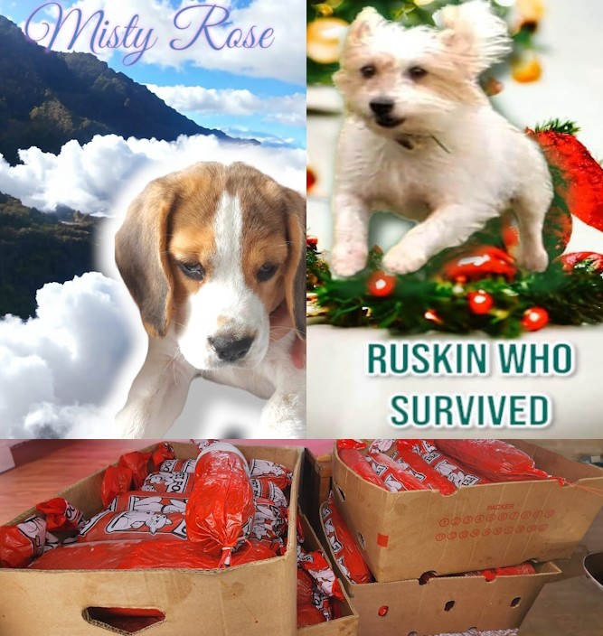 Misty-Rose-and-Ruskin-1